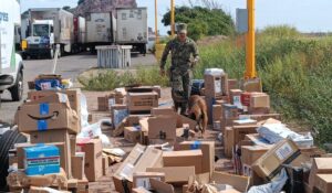 Detectan 1.7 toneladas de camarón irregular y vapeadores con cannabinoides en operativos en Mazatlán y Rosario, Sinaloa
