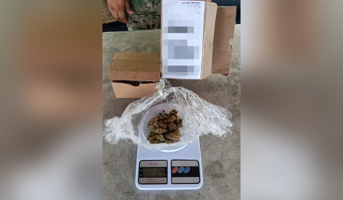 marihuana detectados en paquetes en Mazatlán