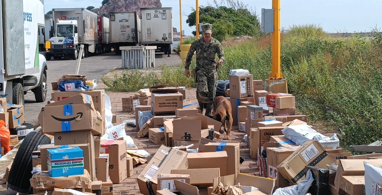 marihuana detectados en paquetes en Mazatlán