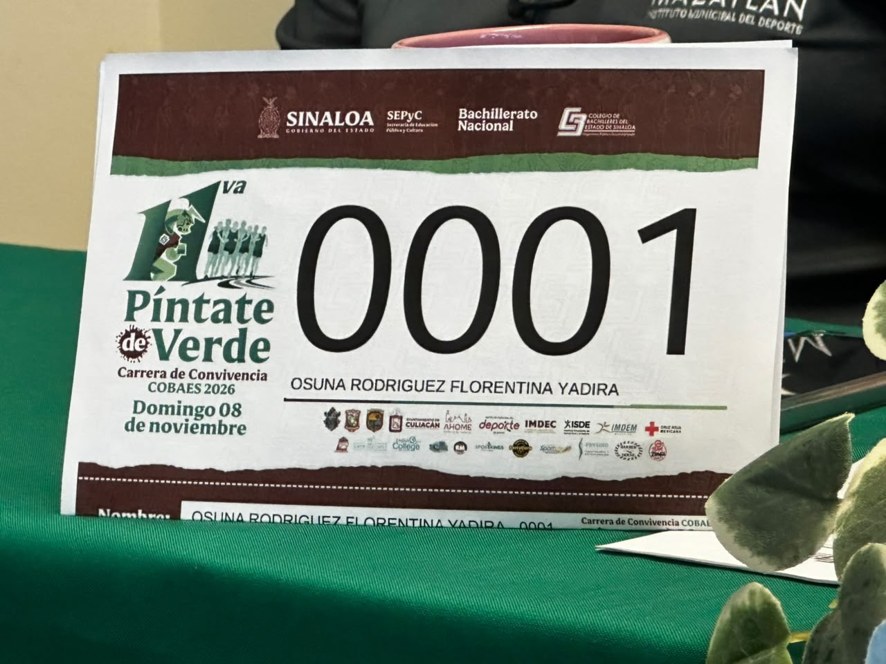 Cobaes anuncia Carrera Píntate de Verde en Mazatlán