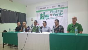cobaes carrera pintate de verde los mochis
