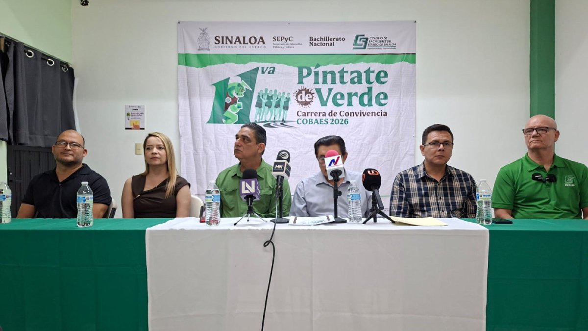 cobaes carrera pintate de verde