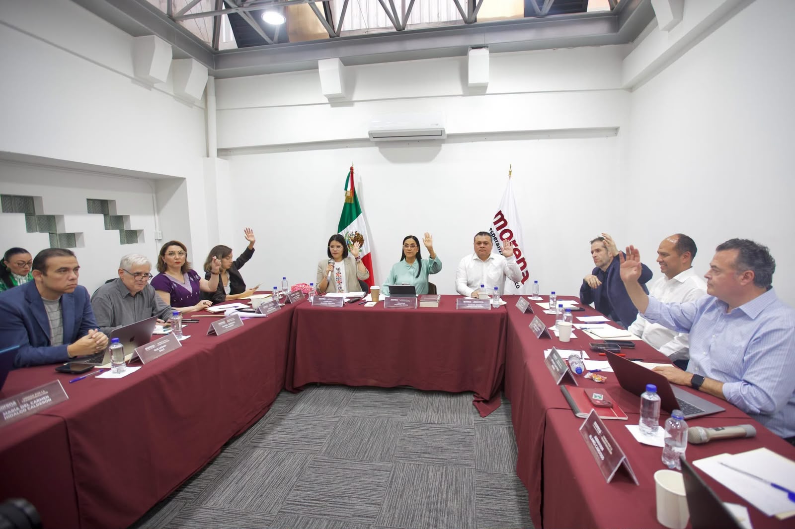 Comité Ejecutivo Nacional de Morena