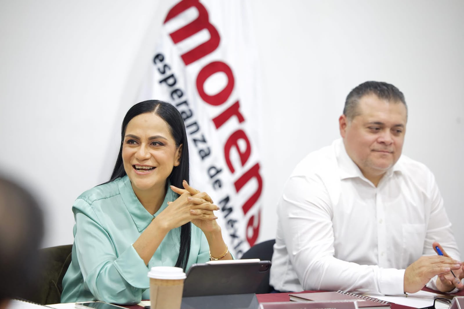 Comité Ejecutivo Nacional de Morena