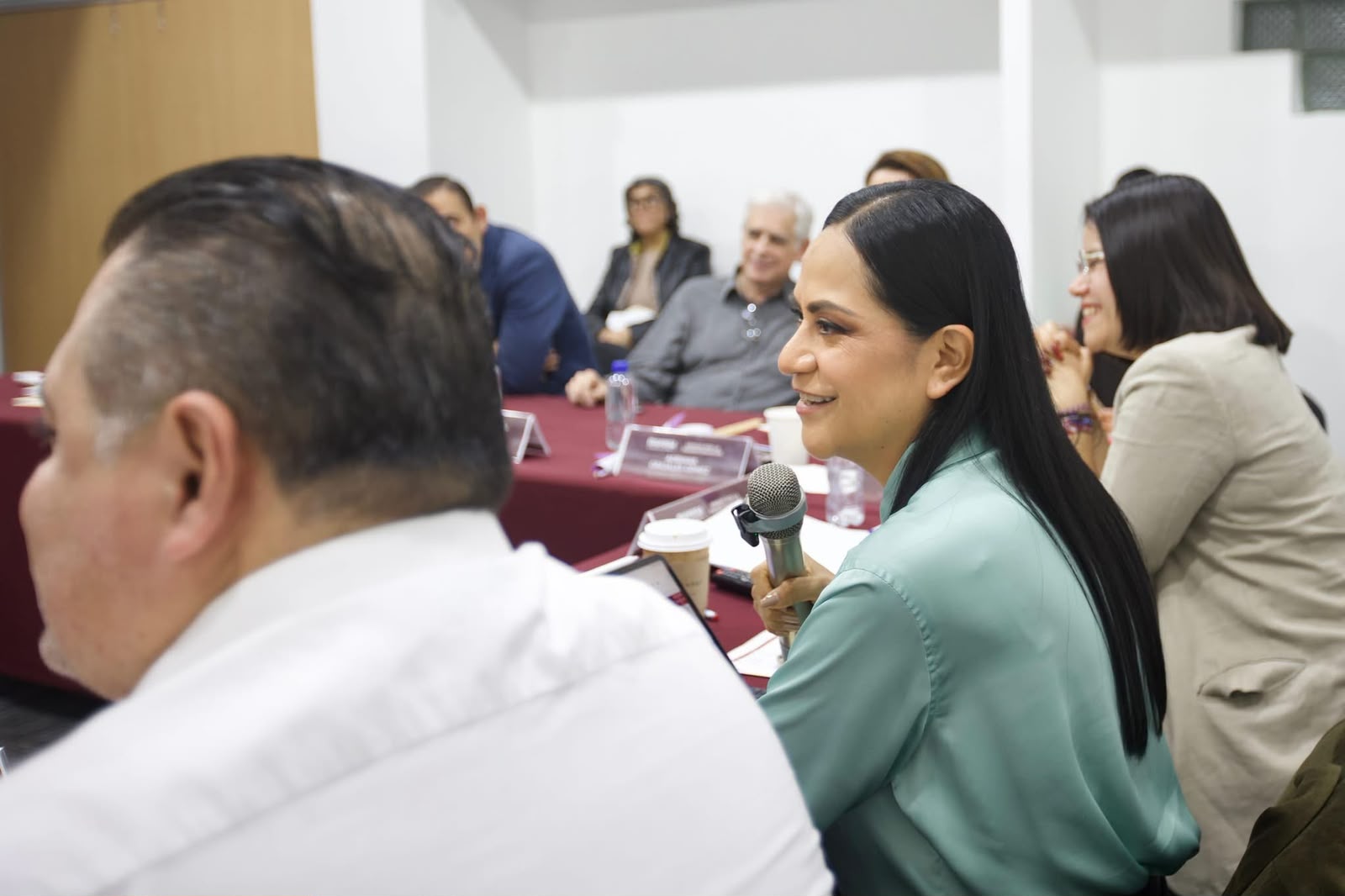 Comité Ejecutivo Nacional de Morena
