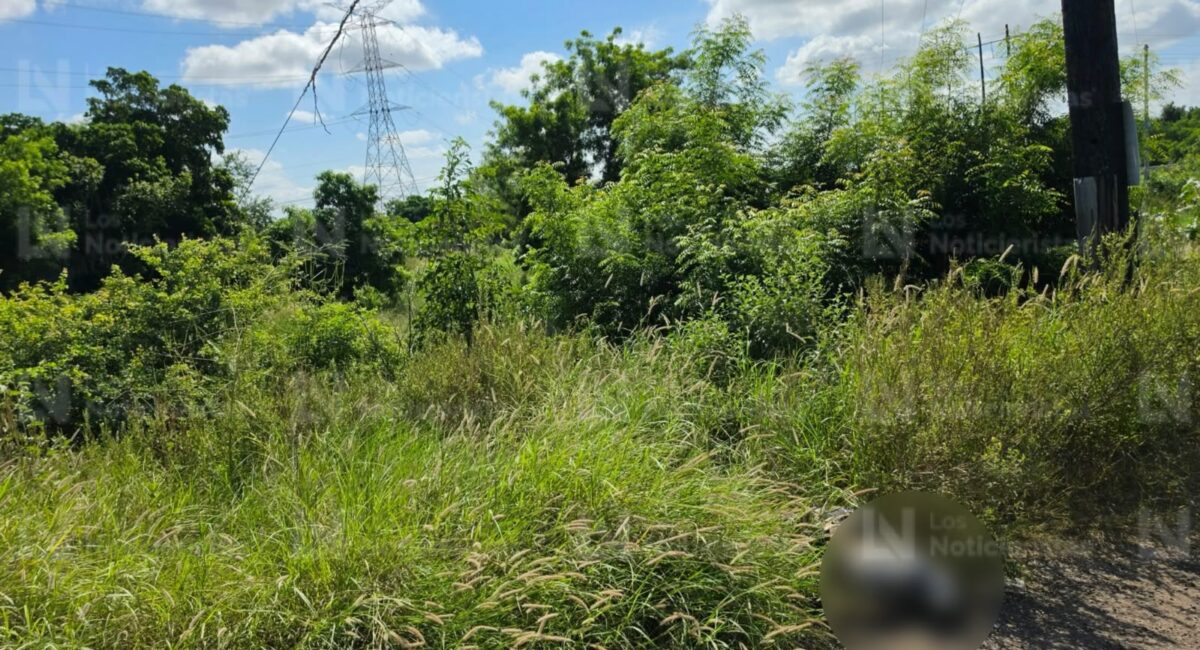 Asesinada y emplayada encuentran a una persona en la carretera vieja a Navolato, Sinaloa