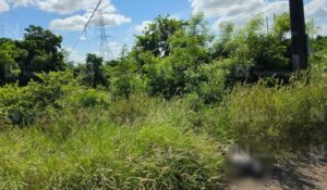 Asesinada y emplayada encuentran a una persona en la carretera vieja a Navolato, Sinaloa