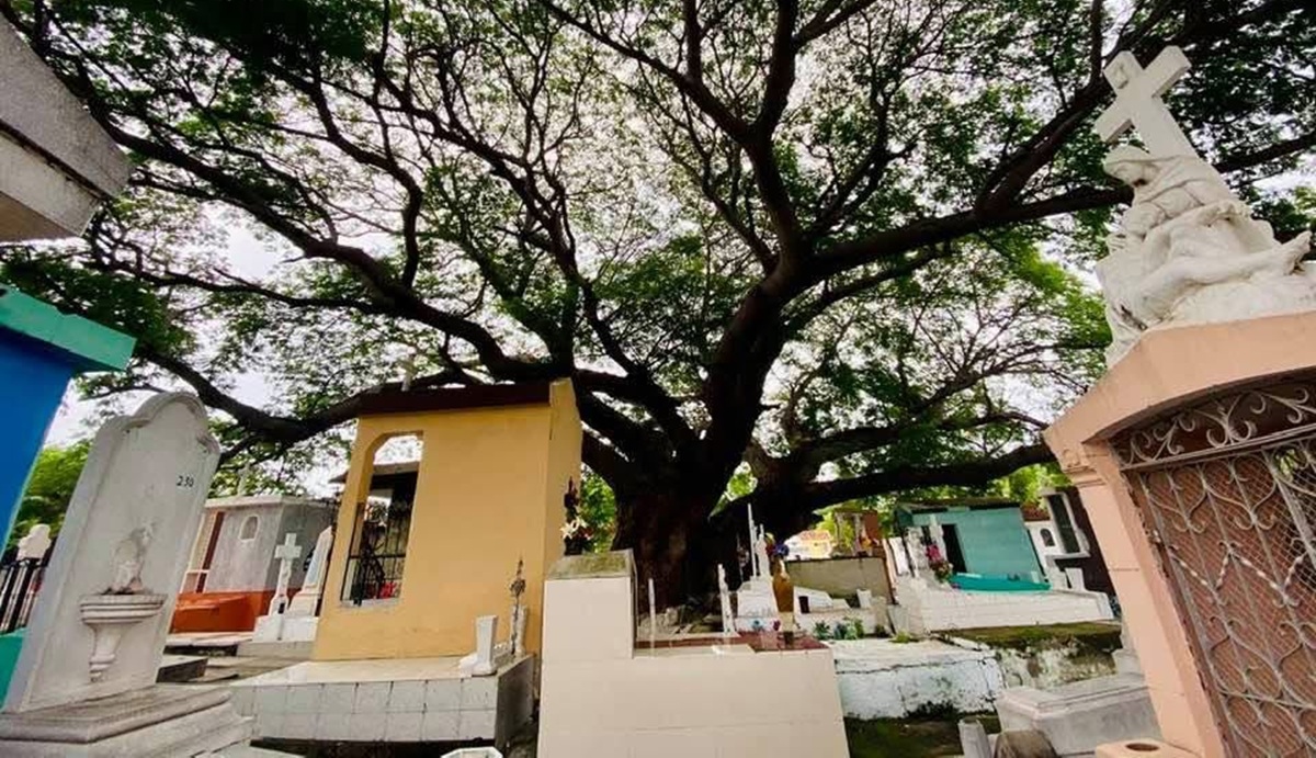 Denuncian abandono del panteón en Villa Unión, Mazatlán