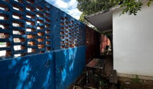 ¡Peligro sobre 126 niños! Jardín de Niños de Mazatlán, Sinaloa, en alerta por árbol podrido y barda desmoronándose