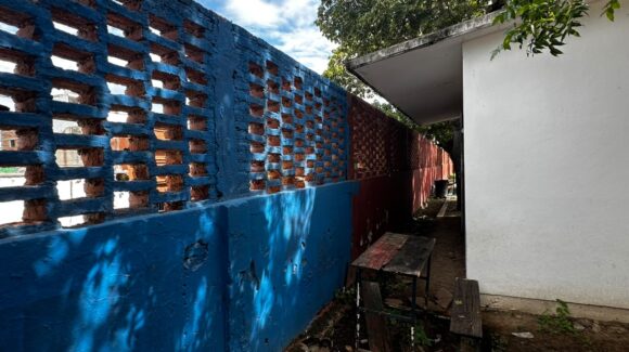 ¡Peligro sobre 126 niños! Jardín de Niños de Mazatlán, Sinaloa, en alerta por árbol podrido y barda desmoronándose