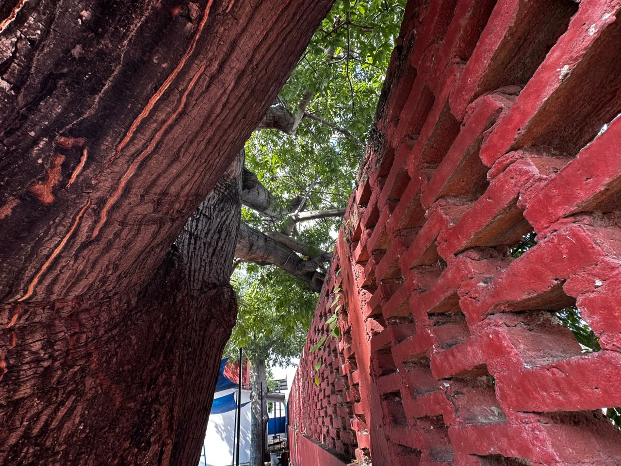 Denuncian riesgo en jardín de niños Estefanía Castañeda, en Mazatlán