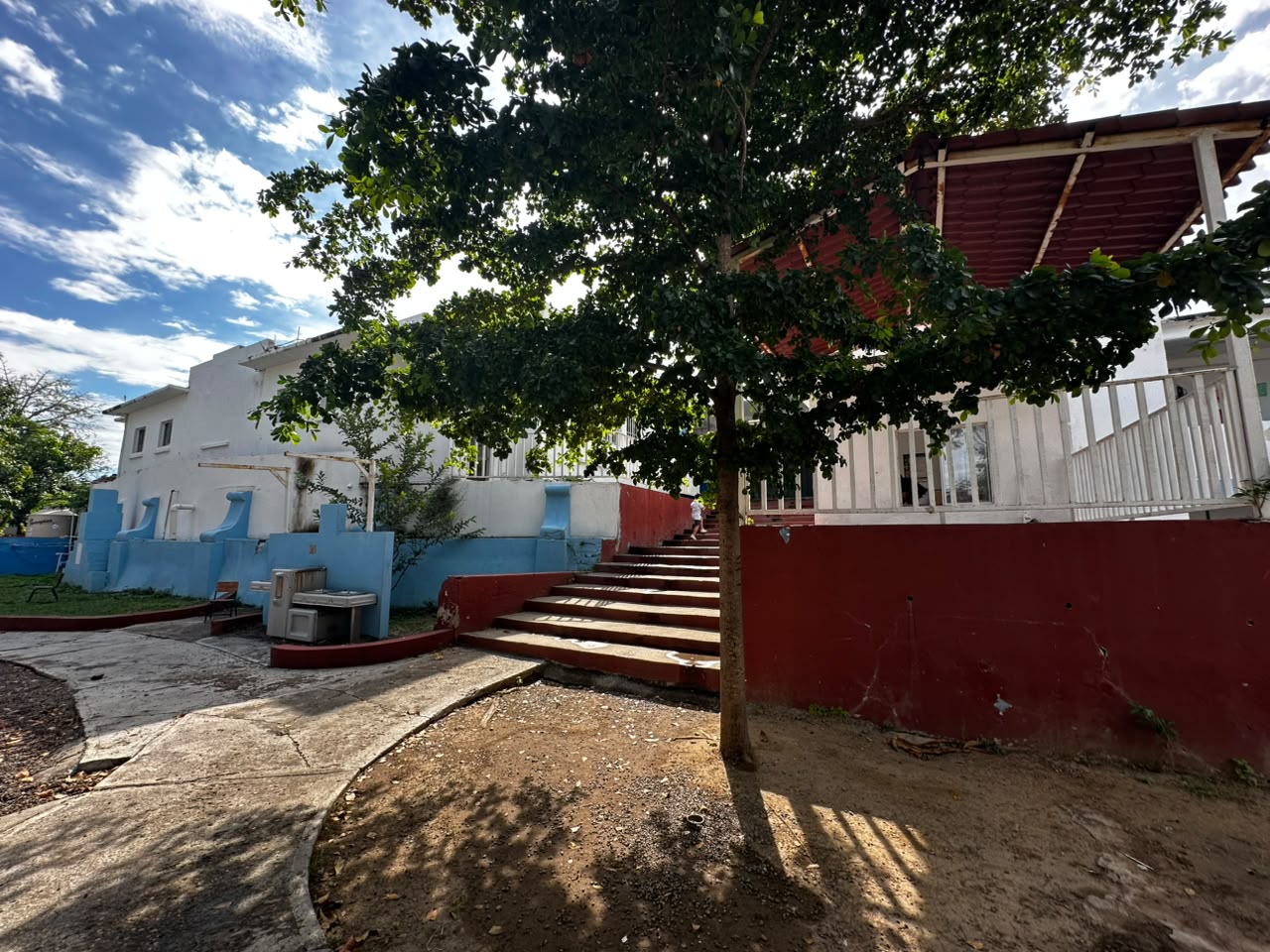 Denuncian riesgo por árbol apolillado en jardín de niños en Mazatlán