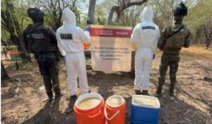 Elementos federales destruyen narcolaboratorios y aseguran drogas en los límites de Durango y Sinaloa
