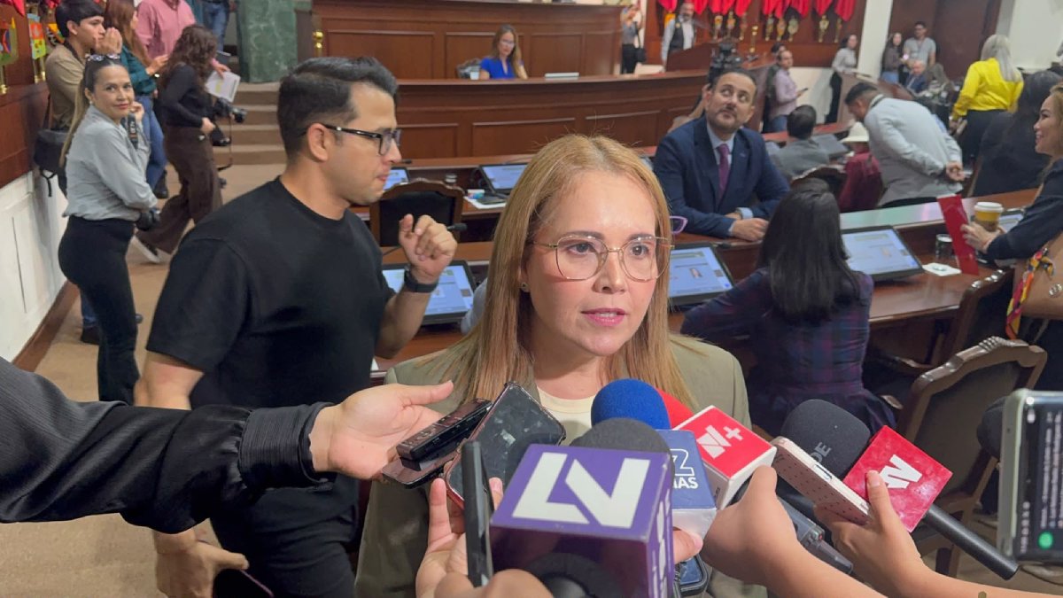 diputada de mc elizabeth montoya