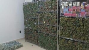 droga en frituras encontradas en mazatlan sinaloa