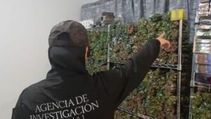droga en frituras encontradas en mazatlan sinaloa autoridad