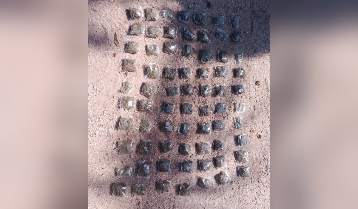 Drogas aseguradas en San Ignacio