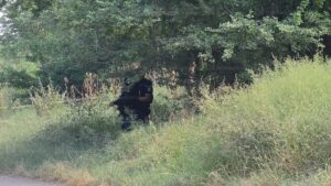 encuentran sin vida a una persona junto al rio culiacan