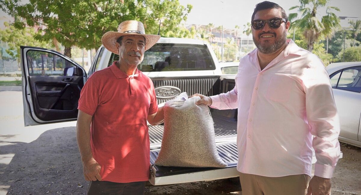 Entregan más de una tonelada de semilla de frijol pinto para cultivar 23 hectáreas en Mazatlán, Sinaloa