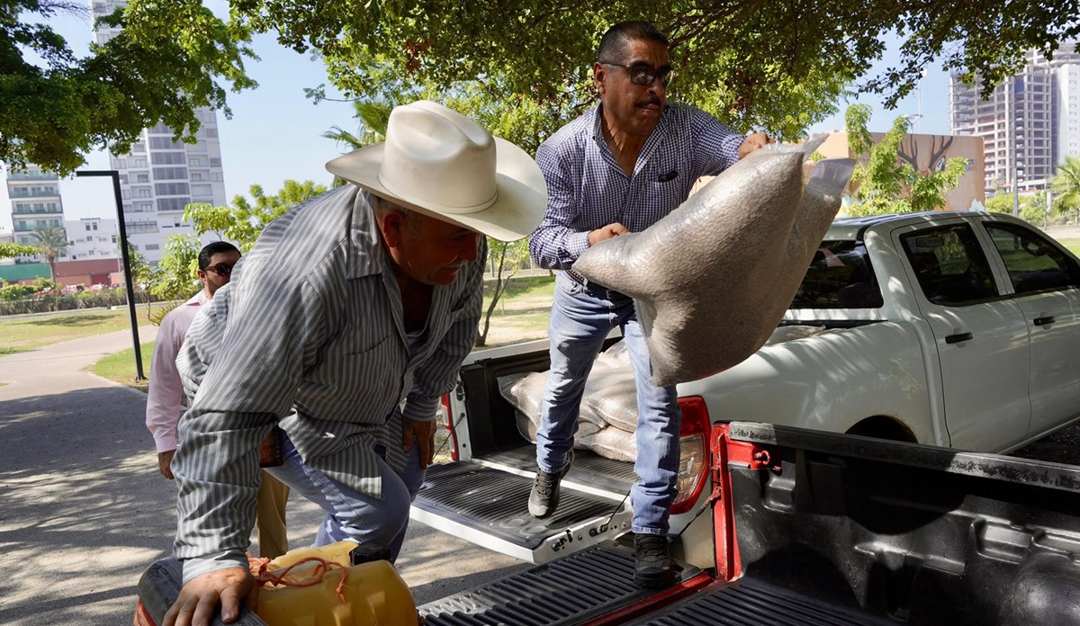 Entregan semillas de frijol pinto a temporaleros en Mazatlán