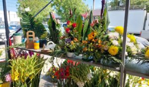 Floristas de Guamúchil mantienen precios por tercer año consecutivo; esperan buenas ventas por Día de Muertos