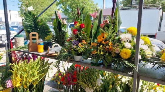 Floristas de Guamúchil mantienen precios por tercer año consecutivo; esperan buenas ventas por Día de Muertos