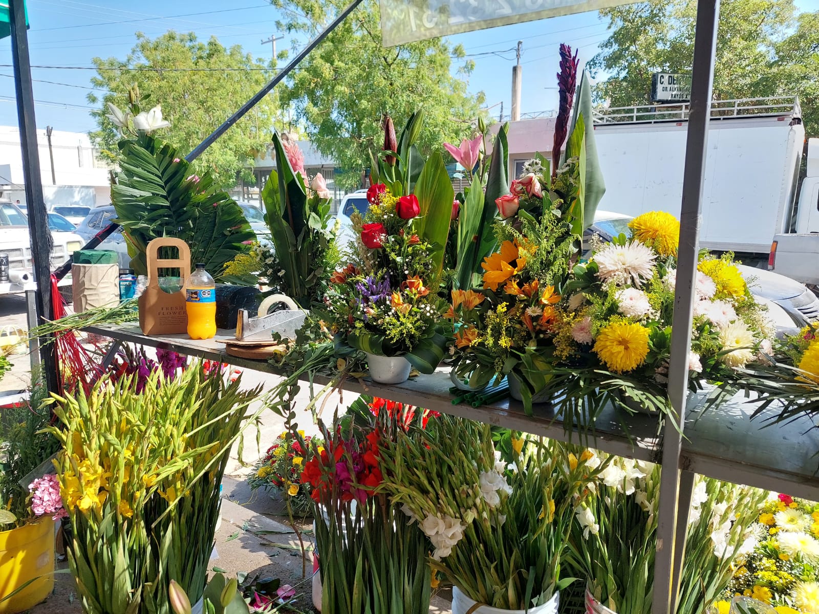 Florerías en Salvador Alvarado