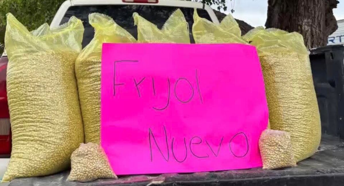 Productores de frijol de 10 estados, incluido Sinaloa, harán frente contra importaciones en temporada de cosecha