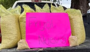 Productores de frijol de 10 estados, incluido Sinaloa, harán frente contra importaciones en temporada de cosecha