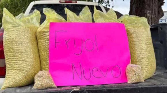 Productores de frijol de 10 estados, incluido Sinaloa, harán frente contra importaciones en temporada de cosecha