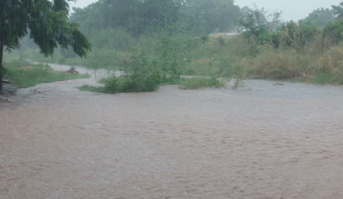 Fuerte lluvia refresca la región del Évora