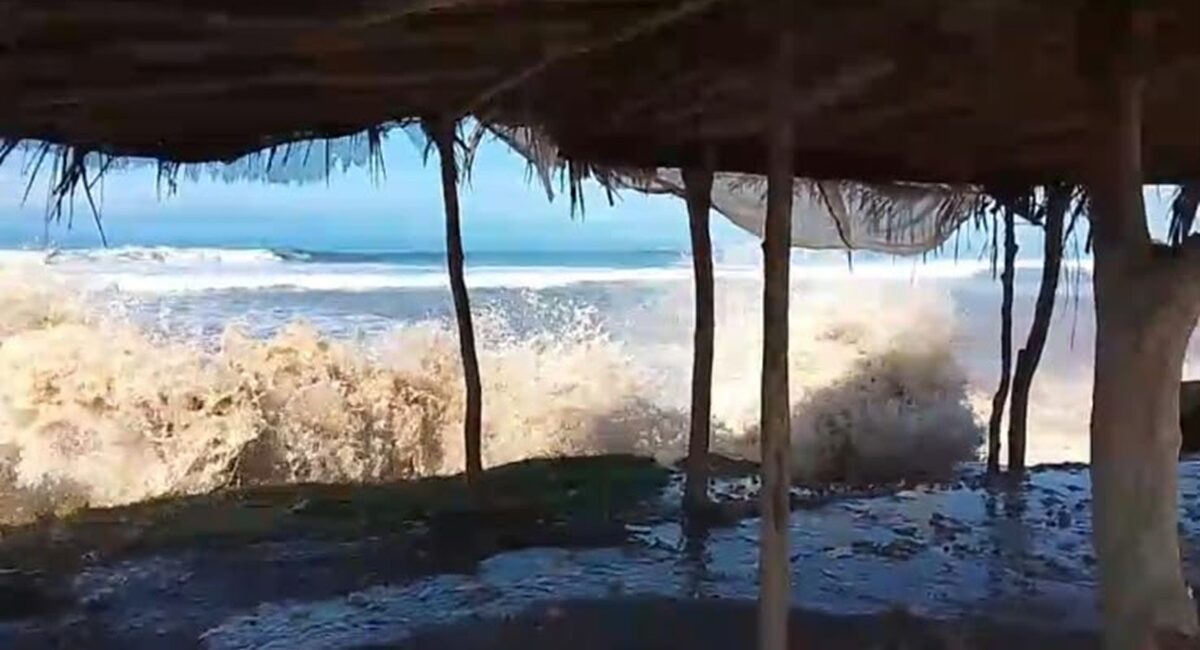 Oleaje intenso en la costa sinaloense repliega a ostioneros en Elota; suman cuatro semanas paralizados y sin ganar un peso
