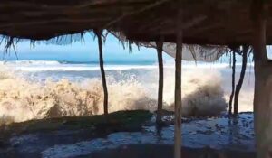 Oleaje intenso en la costa sinaloense repliega a ostioneros en Elota; suman cuatro semanas paralizados y sin ganar un peso