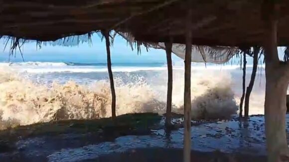 Oleaje intenso en la costa sinaloense repliega a ostioneros en Elota; suman cuatro semanas paralizados y sin ganar un peso