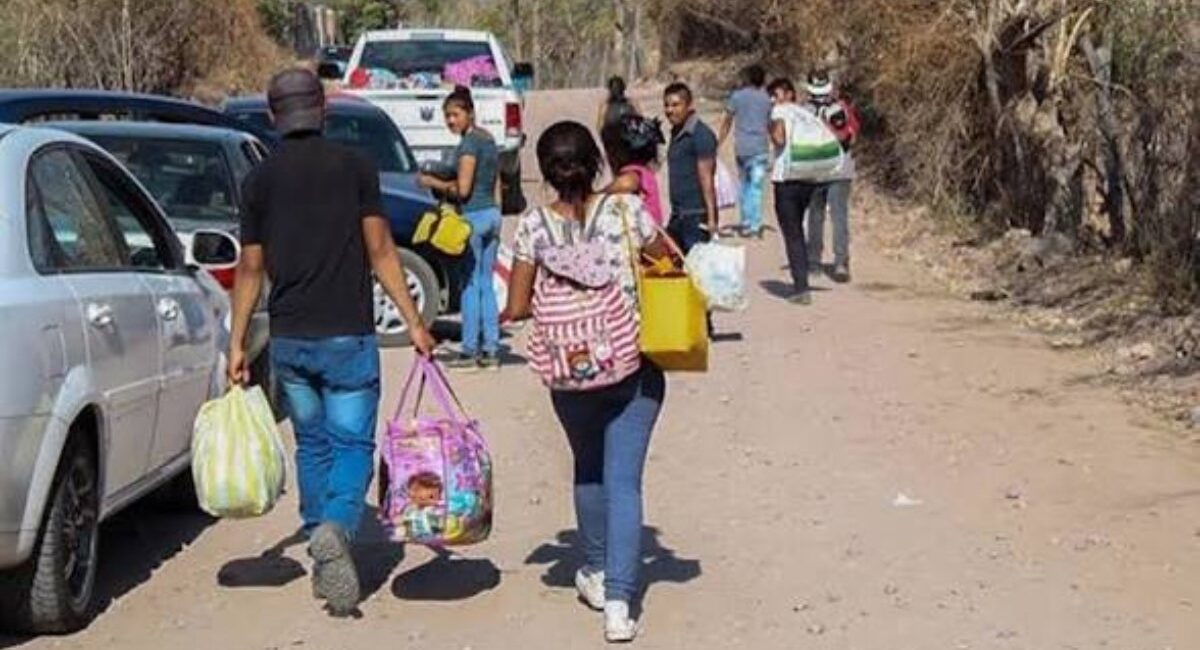 ‘Debe haber más de 3 mil familias desplazadas por violencia en Sinaloa’; Graciela Domínguez pedirá nuevo estudio a la UAdeO para concretar padrón