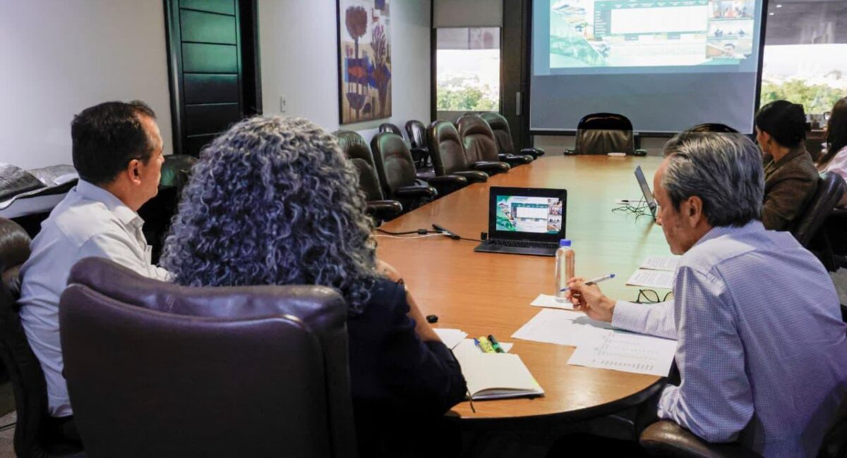 Graciela Domínguez se reúne con autoridades federales para avanzar en ampliación del subsidio eléctrico en Sinaloa