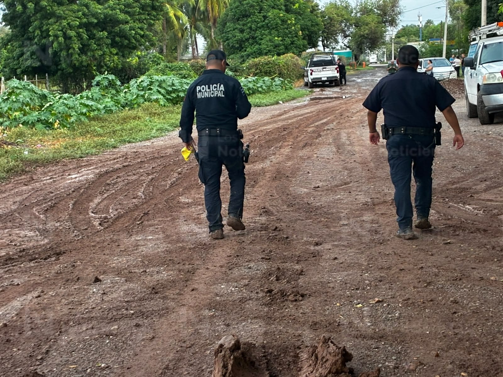 Hallan a hombre sin vida en Residencial Las Haciendas, Los Mochis