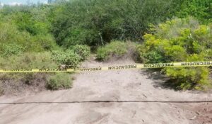 Murió de un balazo en la cabeza la persona localizada entre manglares en el Ejido Las Flores, de Guasave, Sinaloa