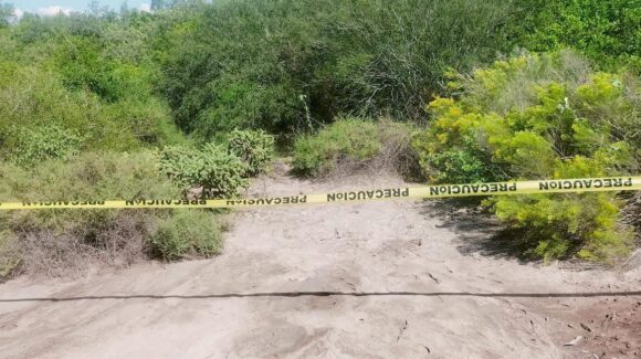 Murió de un balazo en la cabeza la persona localizada entre manglares en el Ejido Las Flores, de Guasave, Sinaloa