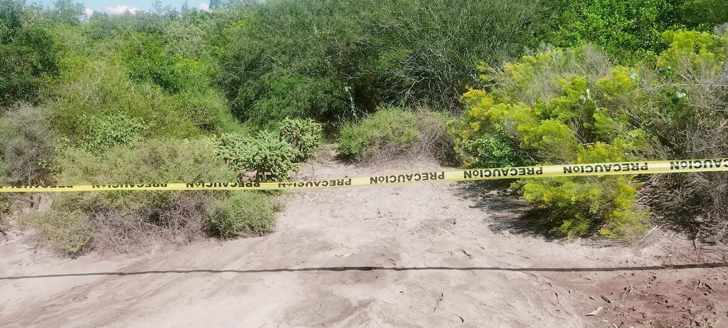 Murió de un balazo en la cabeza la persona localizada entre manglares en el Ejido Las Flores, de Guasave