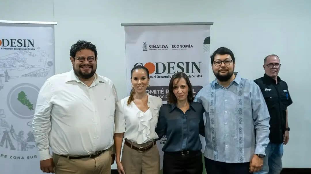 Es Helena Larsen la nueva presidenta del Codesin Zona Sur