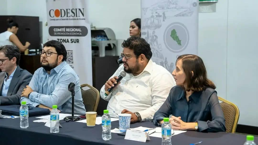 Es Helena Larsen la nueva presidenta del Codesin Zona Sur