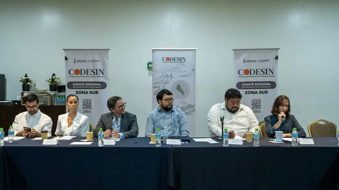 Es Helena Larsen la nueva presidenta del Codesin Zona Sur