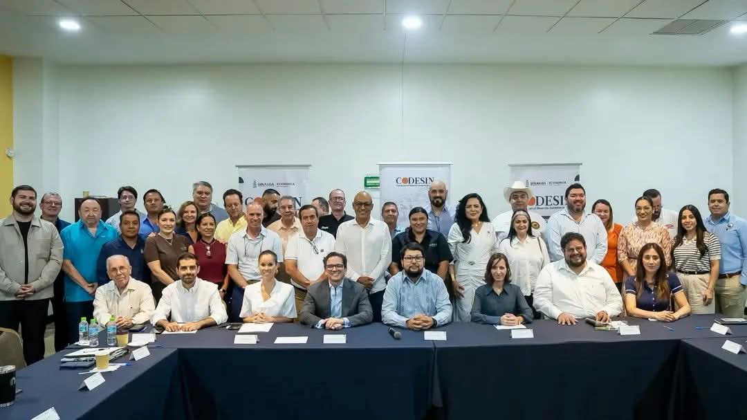 Sesión Extraordinaria del Codesin Zona Sur