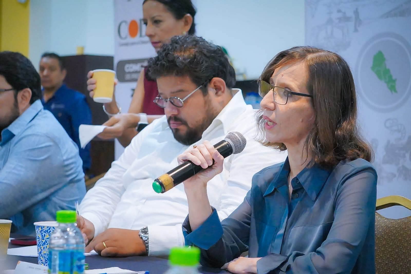 Es Helena Larsen la nueva presidenta del Codesin Zona Sur