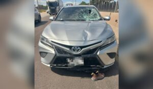 Atropellan a hombre en la México 15, frente a Gabriel Leyva Solano, en Guasave, Sinaloa