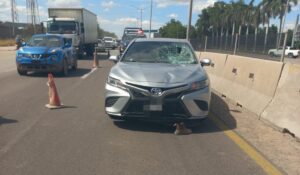 Hombre atropellado en Guasave, Sinaloa
