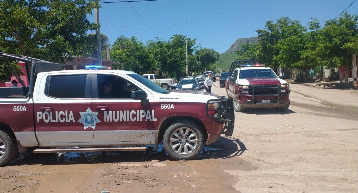 Hombre de 50 años sobrevive a ataque de abejas en el Nuevo San Miguel, Ahome, Sinaloa