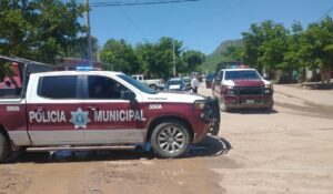 Hombre de 50 años sobrevive a ataque de abejas en el Nuevo San Miguel, Ahome, Sinaloa