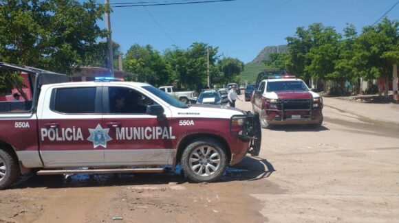 Hombre de 50 años sobrevive a ataque de abejas en el Nuevo San Miguel, Ahome, Sinaloa